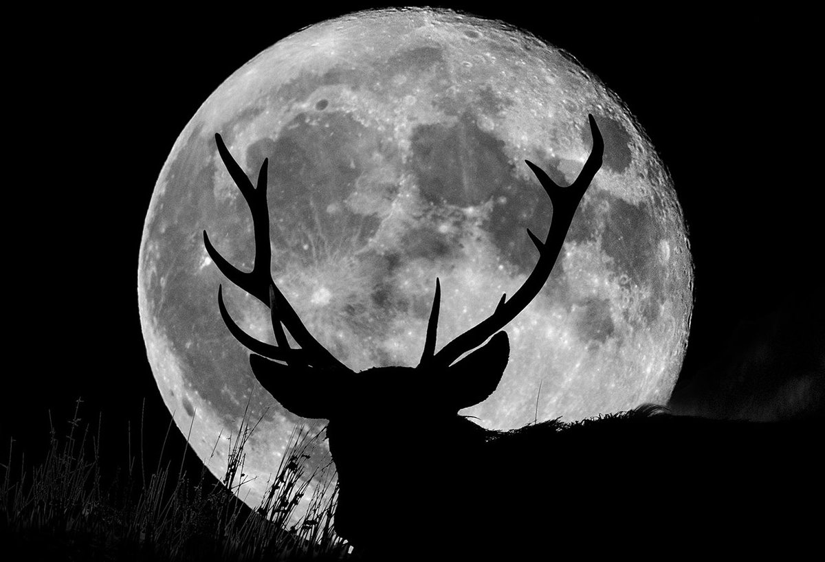 Continuing the countdown to #Apollo11 with a Moon-watcher alert – tonight (July 10th ) will see what is often called the “Buck Moon.” To me, every full Moon is a reminder of the awe-inducing power on humanity of Earth’s only natural satellite. Even with all of the time we spent