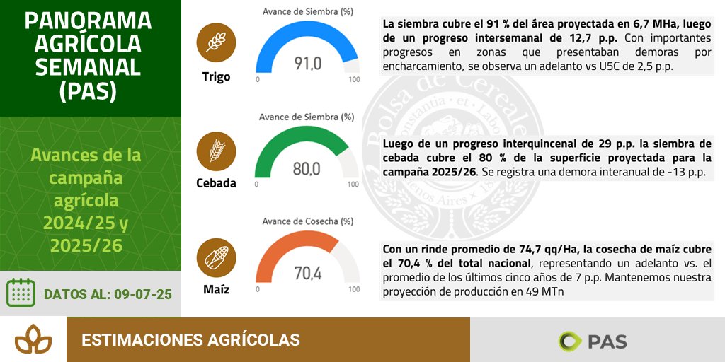 🌱🌽🌻 Compartimos los avances a la fecha de la campaña agrícola 2024/25 y 2025/26. 
Seguí el estado de los 6 principales cultivos en el dashboad de datos PAS y ECC 📊 👉🏼 bolsadecereales.com/estimaciones-i….
📃 Descargá la síntesis del informe: bit.ly/3TzdkwG