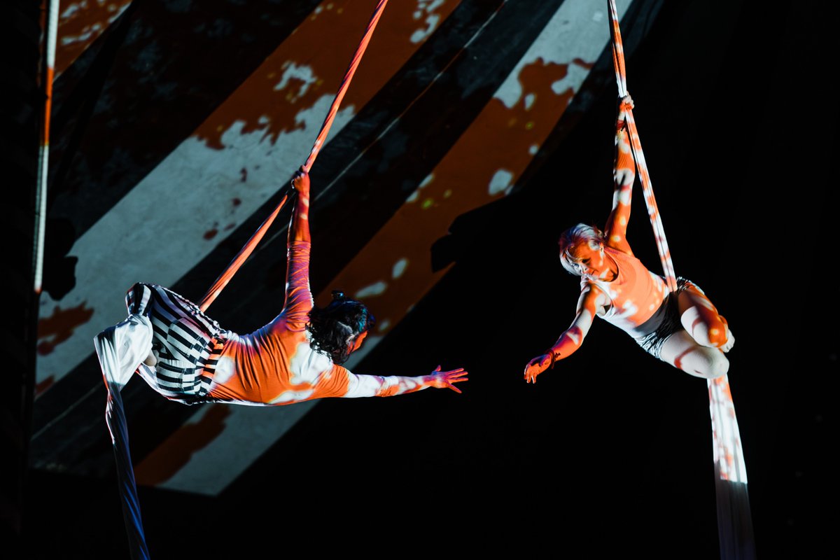 Earagail Arts Festival (@earagailarts) on Twitter photo 🎪Circus Éire – Castlefinn ➡️More info 
 eaf.ie/events/circus-… or visit eaf.ie
📍 CPI Centre, Castlefinn, F93 YDR9
📆Thursday 17th July – Saturday 19th July, 3:30pm 
 €10 adult / €6 child / €30 for family of 5 🎪Circus Éire – Castlefinn ➡️More info 
 eaf.ie/events/circus-… or visit eaf.ie
📍 CPI Centre, Castlefinn, F93 YDR9
📆Thursday 17th July – Saturday 19th July, 3:30pm 
 €10 adult / €6 child / €30 for family of 5