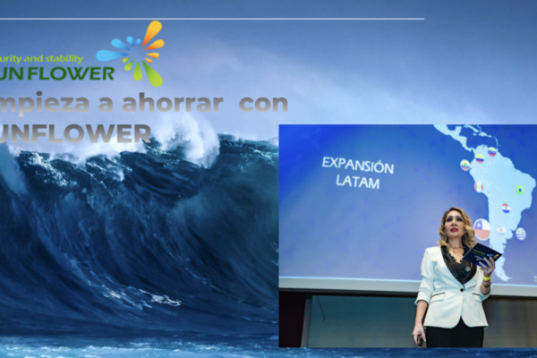 📌Adelanto DF MAS | El girasol se quedó sin agua: más de 3 mil chilenos afectados por una nueva estafa piramidal df.cl/df-mas/por-den…