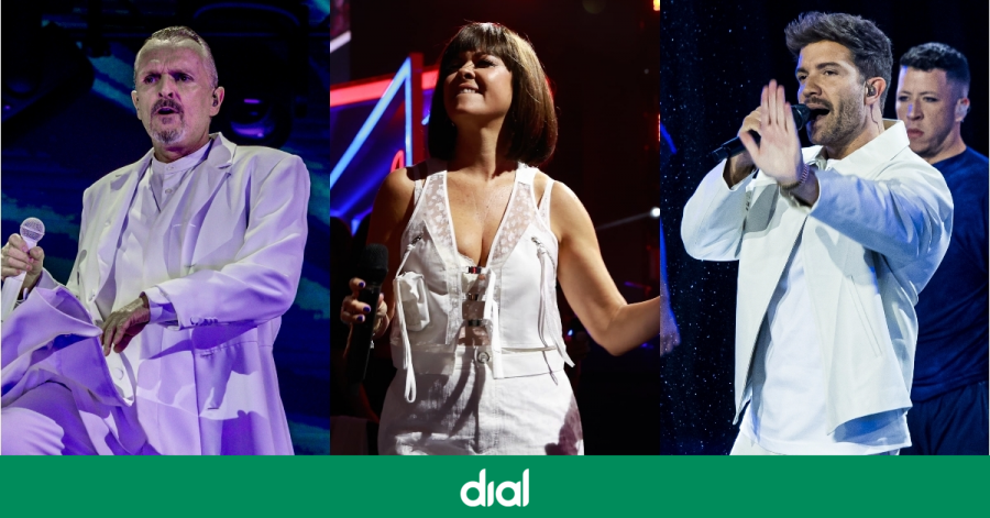 De Miguel Bosé a Pablo Alborán: Así convirtieron sus grandes éxitos en los temas más bailables

🔗cdial.es/1enfq2