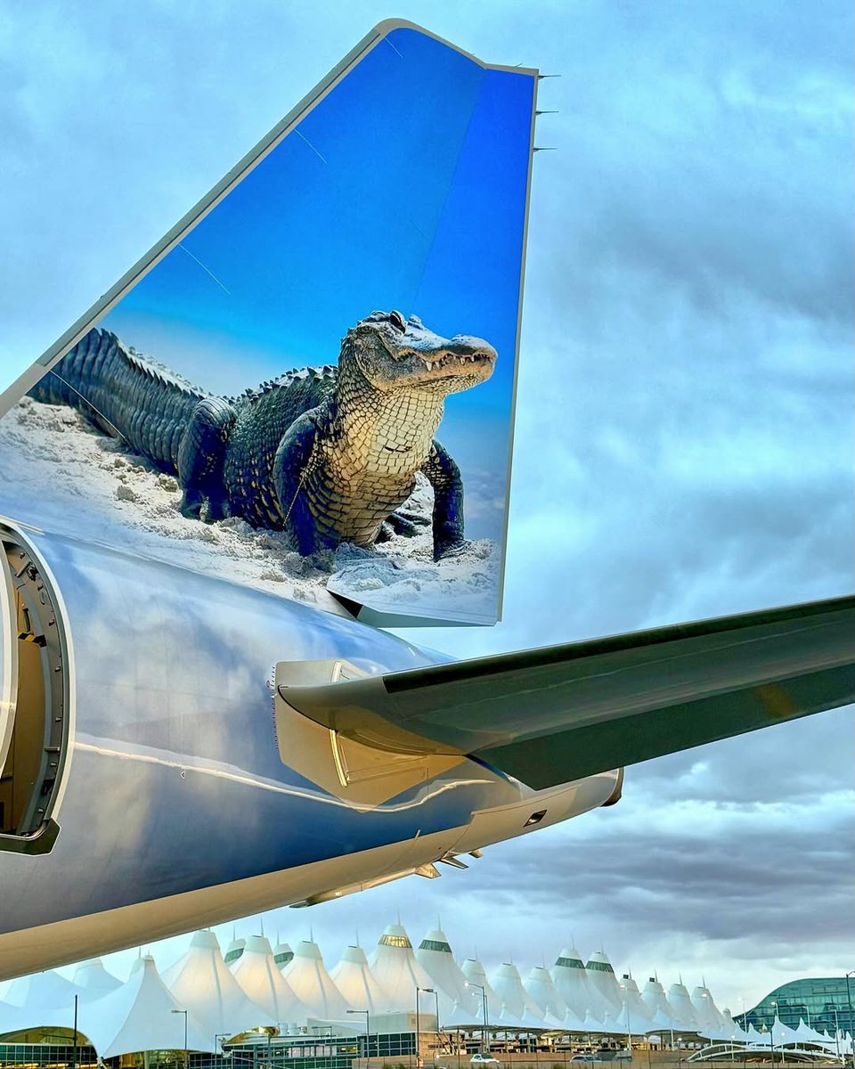 FlyFrontier's tweet image. See you later, alligator! 👋
Next stop = _____________✈️
(Comment your answer!)