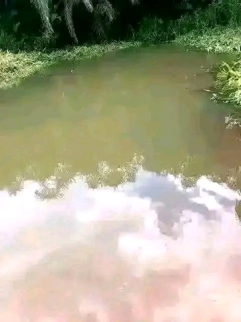 Lepelle River (Ngwaritsi) in Limpopo. It is the 
only river in the world that flows up. The Water From This River Doesn't Stay Inside A Cup .If you drink water from this river, you'll throw up, and the water will return to the river no matter the distance.