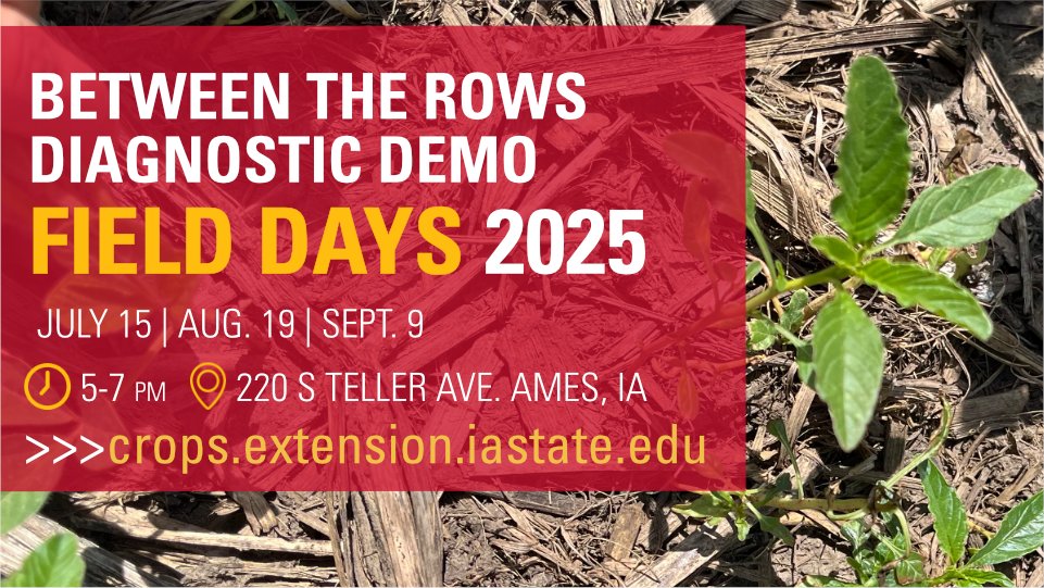 ISU Crop News (@isucropnews) on Twitter photo Don’t miss seeing <a href="/erinwhodgson/">Erin Hodgson</a>, <a href="/mjanders1/">Meaghan Anderson</a>, and <a href="/alisonrISU/">Alison Robertson</a> to get all of your mid-season insect, weeds, and disease questions answered at the July 15th Between the Rows session. More details 🔗 crops.extension.iastate.edu/event/2025/bet…. #ISUCrops Don’t miss seeing <a href="/erinwhodgson/">Erin Hodgson</a>, <a href="/mjanders1/">Meaghan Anderson</a>, and <a href="/alisonrISU/">Alison Robertson</a> to get all of your mid-season insect, weeds, and disease questions answered at the July 15th Between the Rows session. More details 🔗 crops.extension.iastate.edu/event/2025/bet…. #ISUCrops