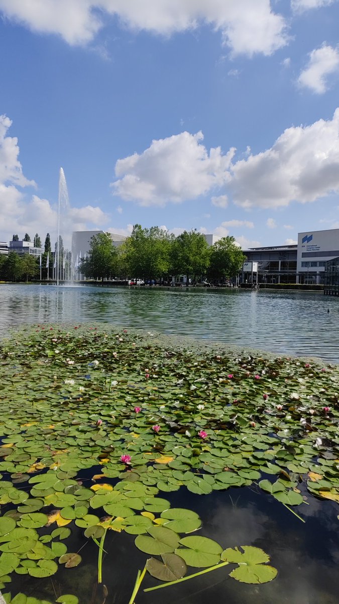 Such an honor to meet inspiring neuroscientists and connect tonight at the iconic BrainLab Tower 🧠✨

#BrainLab #Neuroscience #BrainStimulation #Neurostimulation #EPNS2025 #Munich