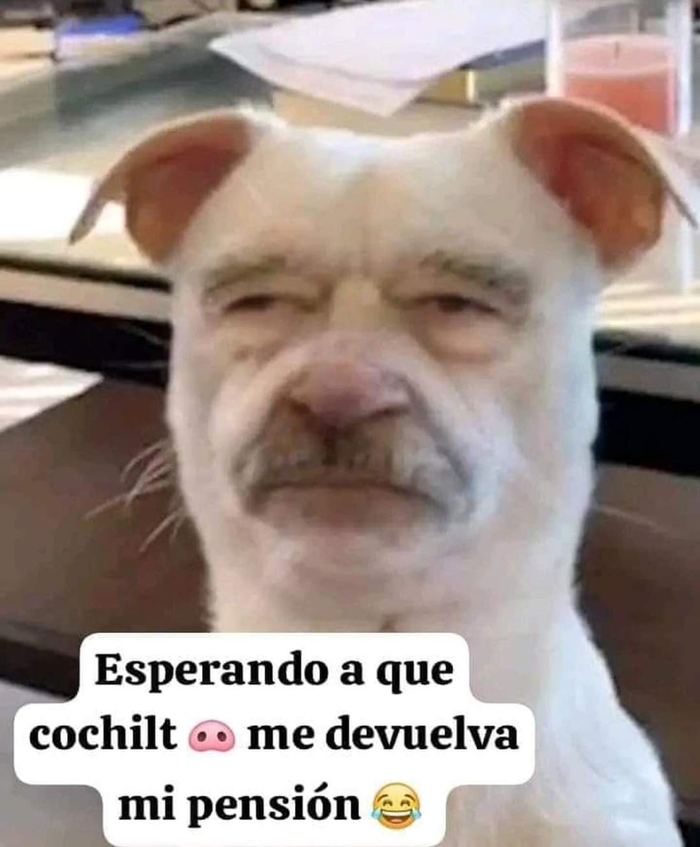 Usuario desconocido 🇲🇽 tweet media
