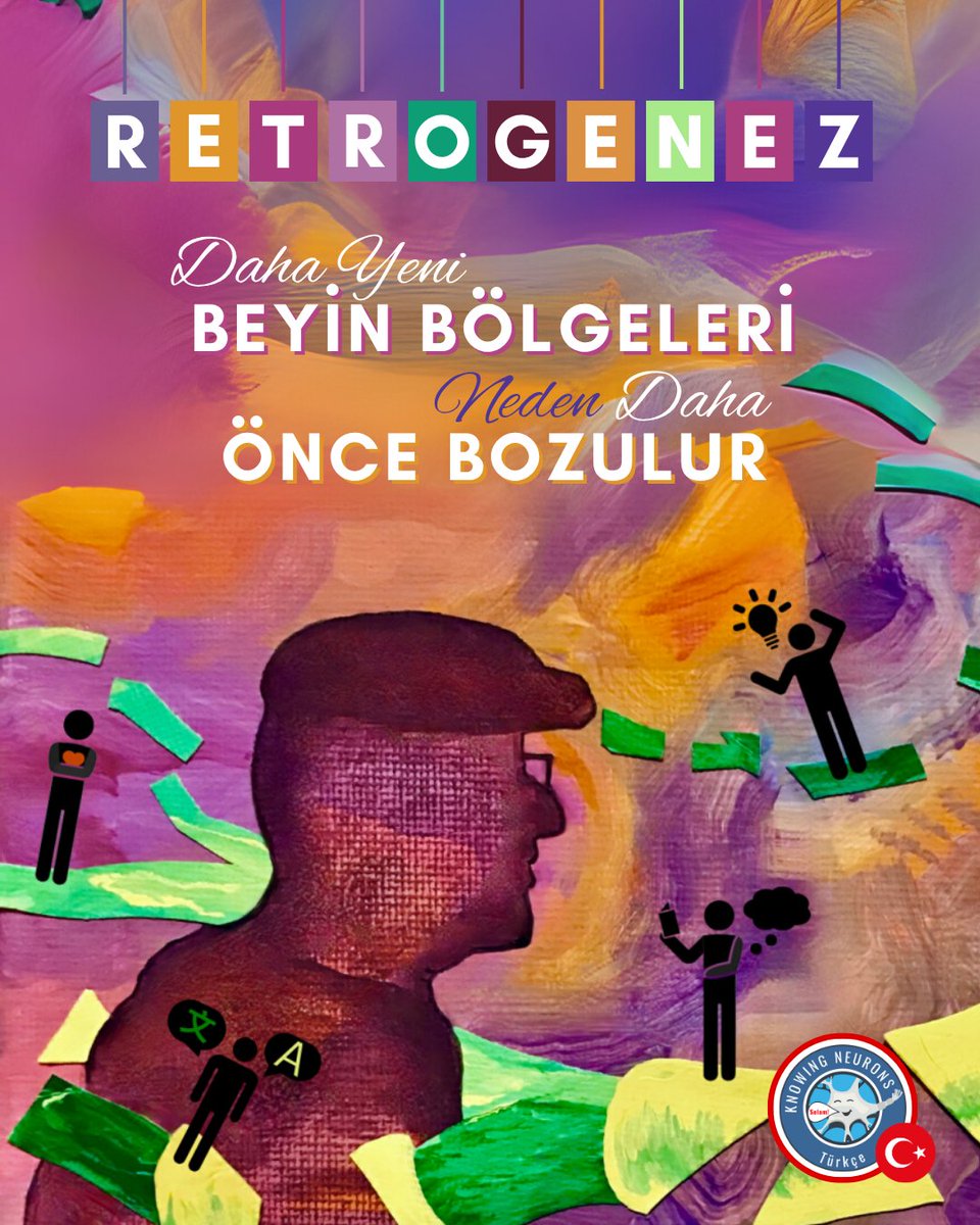 KnowingNeurons's tweet image. #TurkishThursday
“Yeni olan eskiden, karmaşık olan basitten önce yok olur.” 🔁⏳ Retrogenez teorisiyle tanışmaya hazır mısın? 🧠✨
#knowingneurons #neuroscience #scicomm #nörobilim #retrogenez #yaşlanma #beyingelişimi