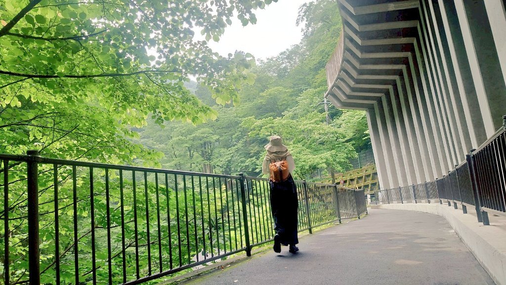ndntmtk's tweet photo. 6日、誕生日は朝から鍾乳洞探検🪨🗺️🧢超猛暑日車にあった毛布被った🧊（平均10℃、湿度82%）大人になってわかる自然が長い月日をかけてつくりだした美と畏怖。これもまた良い記念日！🥗
#37th #BirthdayMorning #奥多摩 #日原鍾乳洞 #limestonecave https://t.co/96P9iblj3m