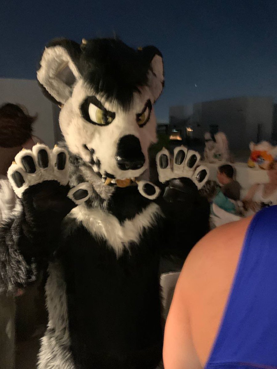 4th of July with Fur friends! 
The horizon was littered with Fireworks that night  🤩🎆