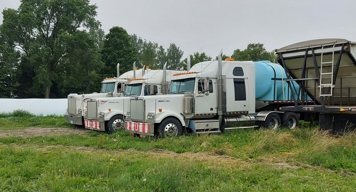 wilkjef's tweet image. Sweet little lineup of big block Cats there...a 2ws and a pair of Low twin turbos waiting to haul ass. 💪🚛💨