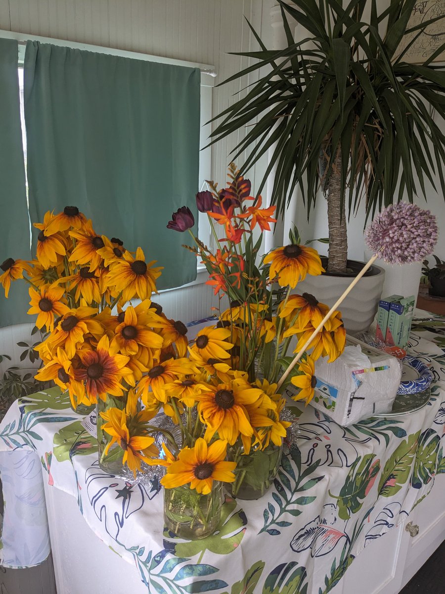 I can't put these out because they're mildly toxic to cats so enjoy