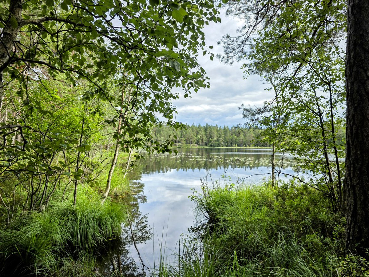 Juha Auvinen (@zehov) on Twitter photo 