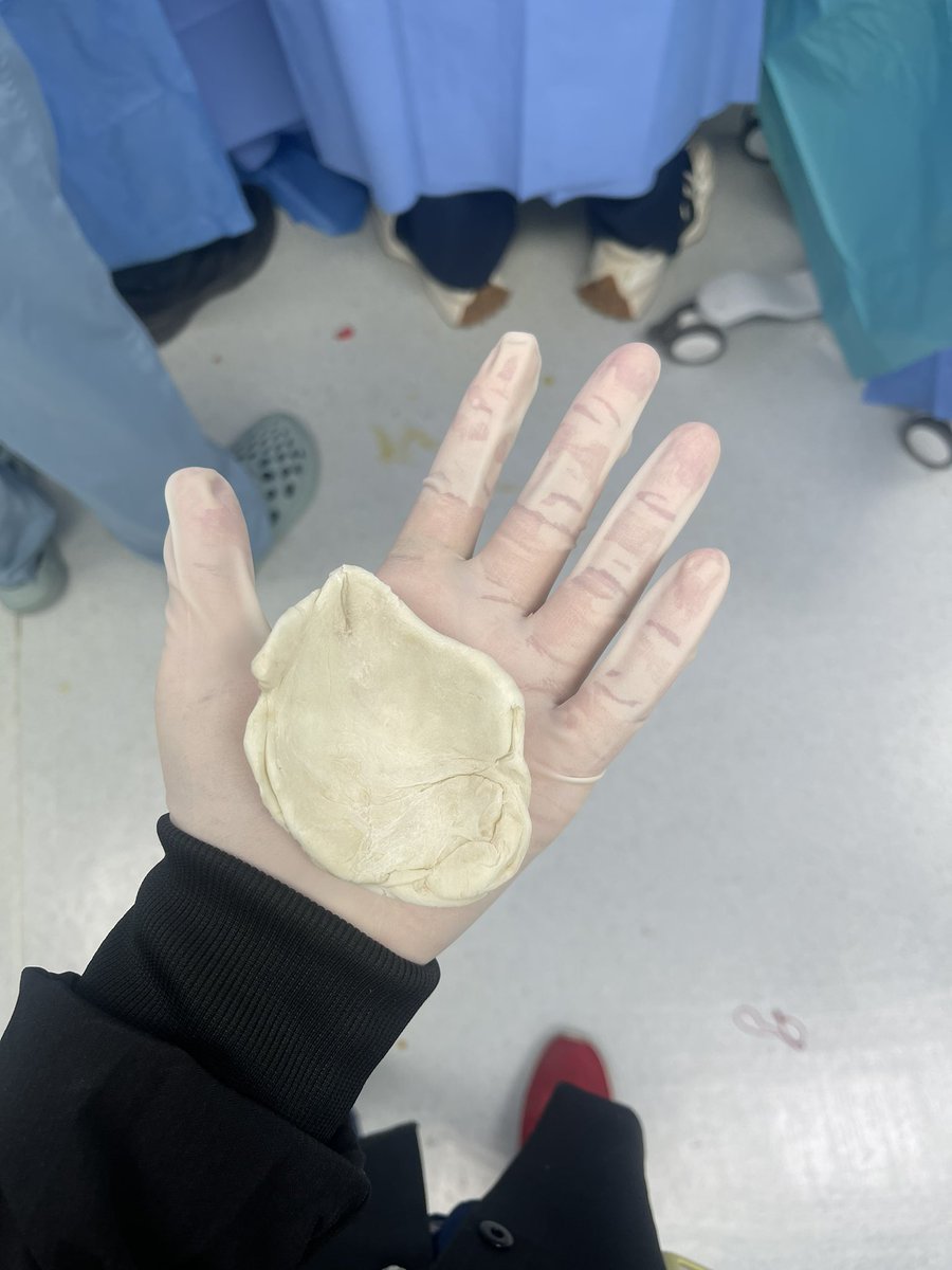 Rahil / راحيل tweet media