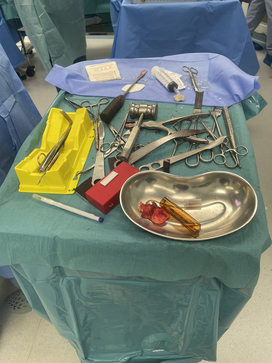 Rahil / راحيل tweet media