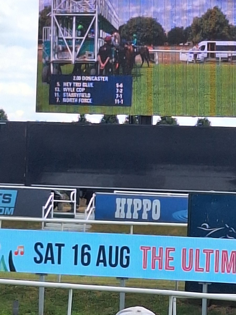 Nick Bennett (@nickb_bookie1) on Twitter photo COME RACING!!!. Big screen just at the off...5/6 Hey Tru Blue. <a href="/StarSports_Bet/">Star Sports Bookmakers</a> and the ring 11/10. Come racing. COME RACING!!!. Big screen just at the off...5/6 Hey Tru Blue. <a href="/StarSports_Bet/">Star Sports Bookmakers</a> and the ring 11/10. Come racing.