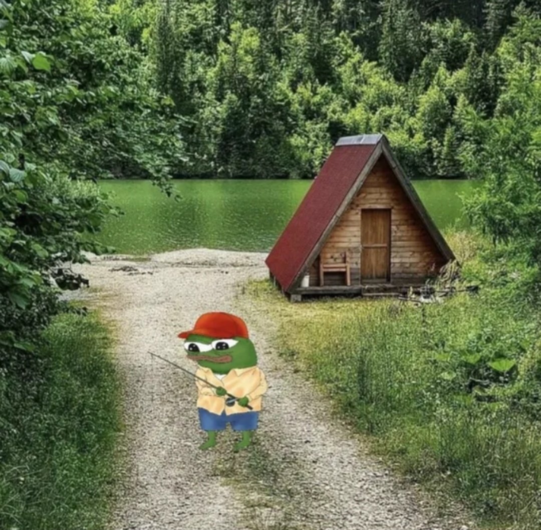 djoey44's tweet image. Gm frens🐸