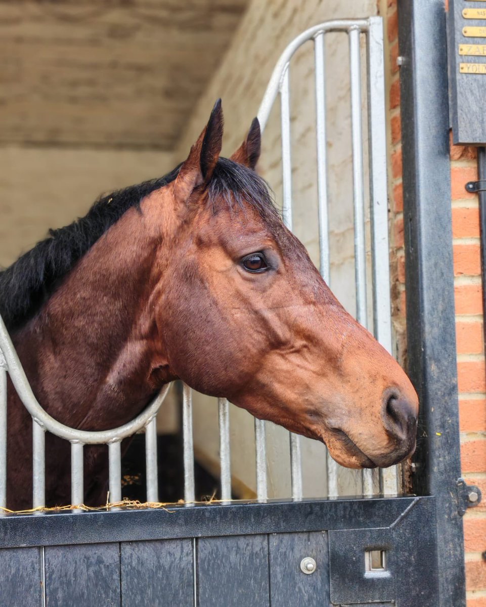 Crest Racing (@crestracing1) on Twitter photo Crestofdistinction runs in the 3pm heritage handicap <a href="/NewmarketRace/">Newmarket Racecourse</a> for <a href="/ChannonRacing/">Jack Channon Racing</a> <a href="/Rossaryan15/">Rossa Ryan</a> takes the ride. Good luck to all owners Crestofdistinction runs in the 3pm heritage handicap <a href="/NewmarketRace/">Newmarket Racecourse</a> for <a href="/ChannonRacing/">Jack Channon Racing</a> <a href="/Rossaryan15/">Rossa Ryan</a> takes the ride. Good luck to all owners