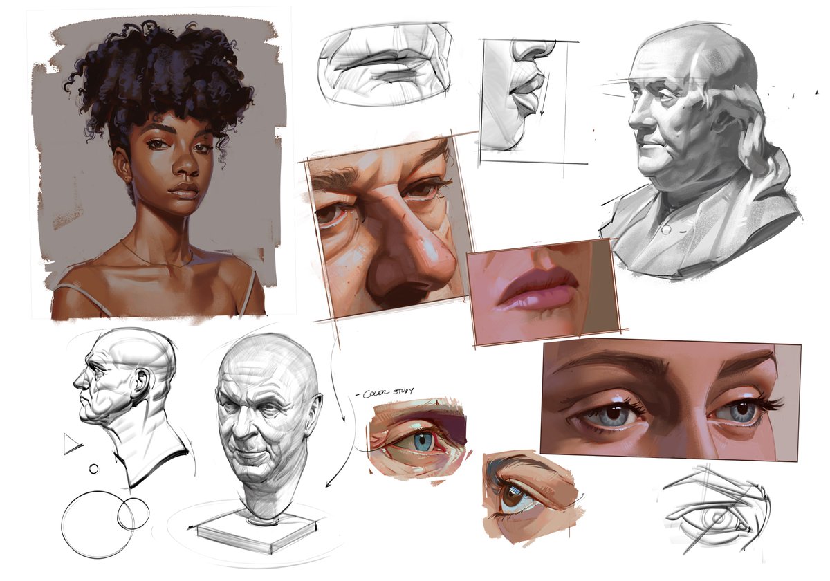 It’s finally here!  The much anticipated, all inclusive, Premium Head Painting Bundle!  I'm excited to share with you all of the tutorials I’ve worked on in the last couple years on how to draw and paint the human portrait with confidence! I include my in depth tutorials on each