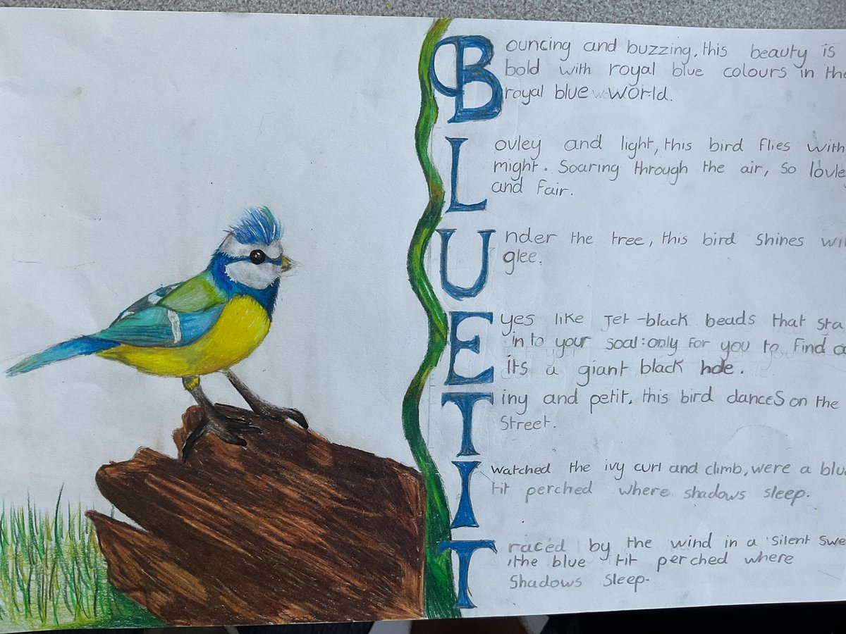 Baildon CE Primary School tweet media