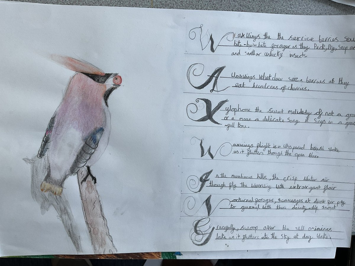 Baildon CE Primary School tweet media