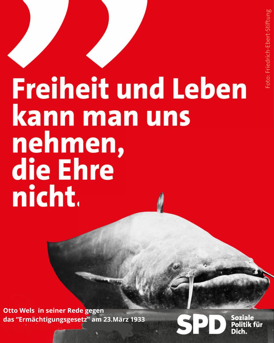 Der Wels vom Brombachsee war ein aufrechter Sozialdemokrat!