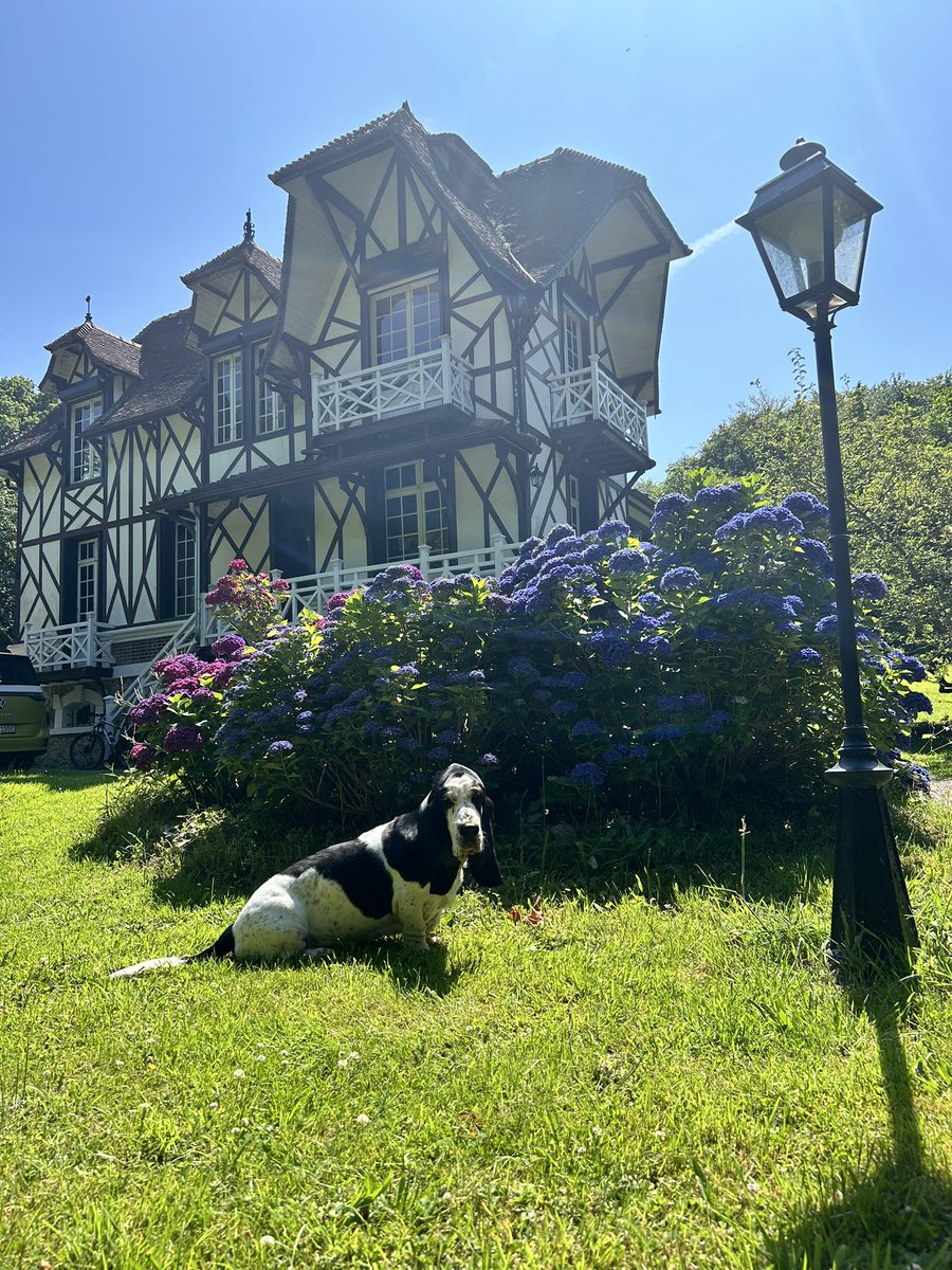 BassetMortimer's tweet image. Ein bisschen was von Psycho hat unser Ferienhaus ja schon…