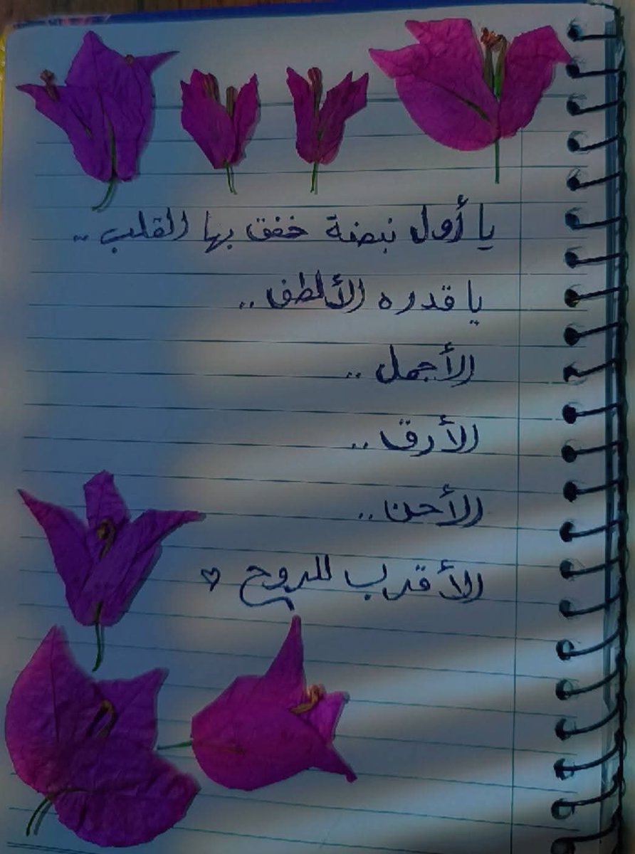 يا ليتَ اللحظاتِ الجميلةَ تُقطَفُ كما الورود،
فنُجفّفها بين صفحاتِ القلبِ،
ونعودُ إليها كلّما اشتدّ بنا الحنينُ،
نستنشقُ عبيرَها كلّما أوشكت أرواحُنا أن تذبل،
ونرتّقُ بها شقوقَ الغيابِ في قلوبِنا...