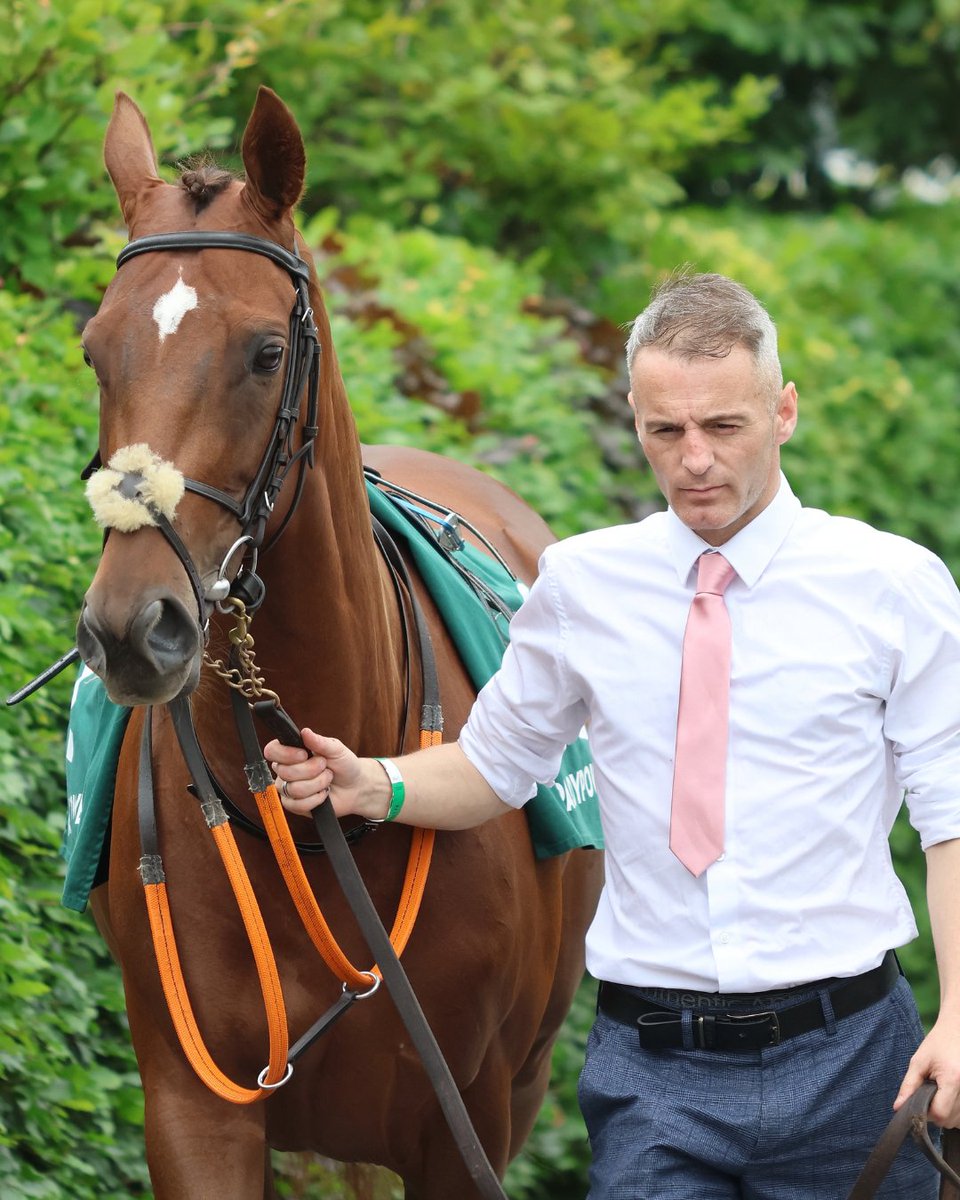 Cavalor.race (@cavalor_race) on Twitter photo 👏 Congratulations to <a href="/williemccreery1/">williemccreeryracing</a> who won our ‘Best Turned Out’ competition <a href="/curraghrace/">The Curragh Racecourse</a> in June. This is the third of our monthly Best Turned Out competitions which will take place in Ireland this season.
<a href="/equillence/">Claire_Equillence</a> 👏 Congratulations to <a href="/williemccreery1/">williemccreeryracing</a> who won our ‘Best Turned Out’ competition <a href="/curraghrace/">The Curragh Racecourse</a> in June. This is the third of our monthly Best Turned Out competitions which will take place in Ireland this season.
<a href="/equillence/">Claire_Equillence</a>