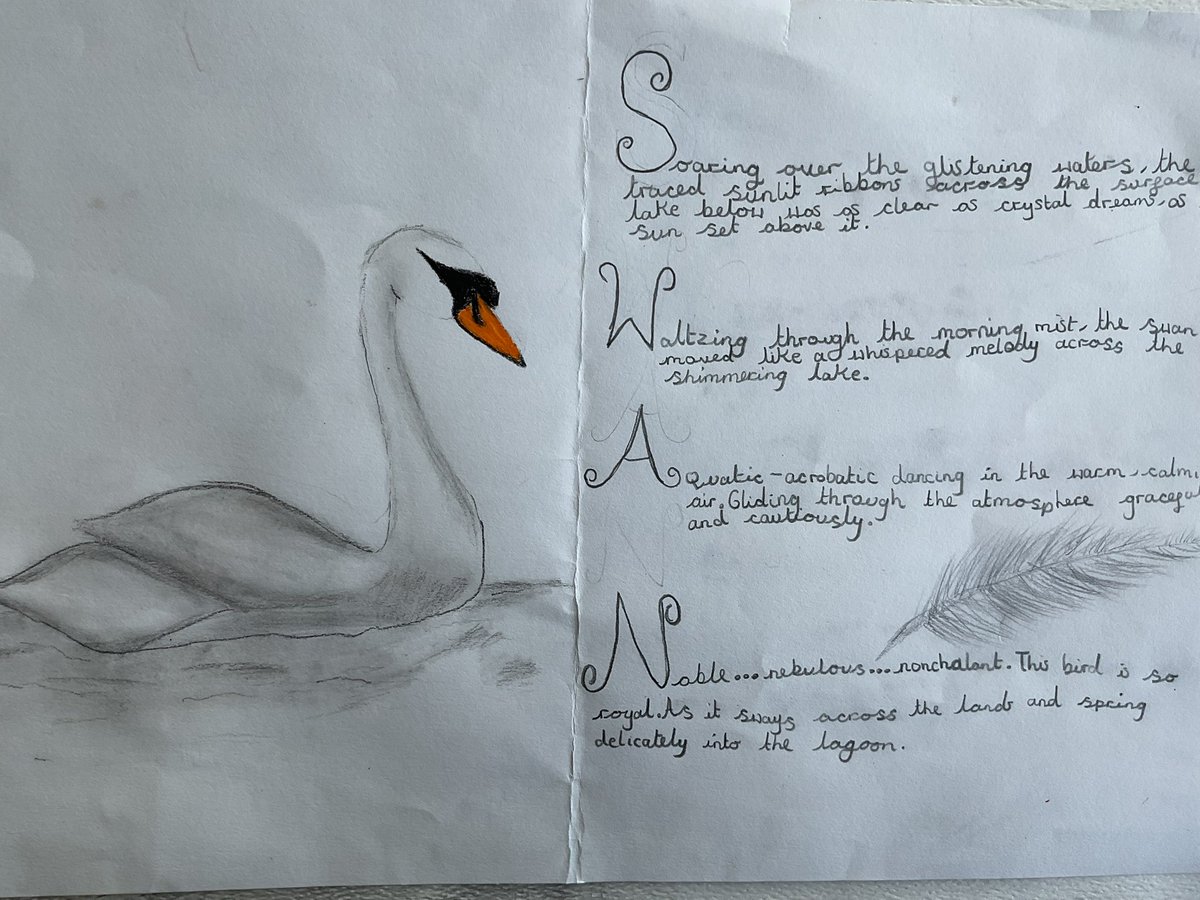 Baildon CE Primary School tweet media