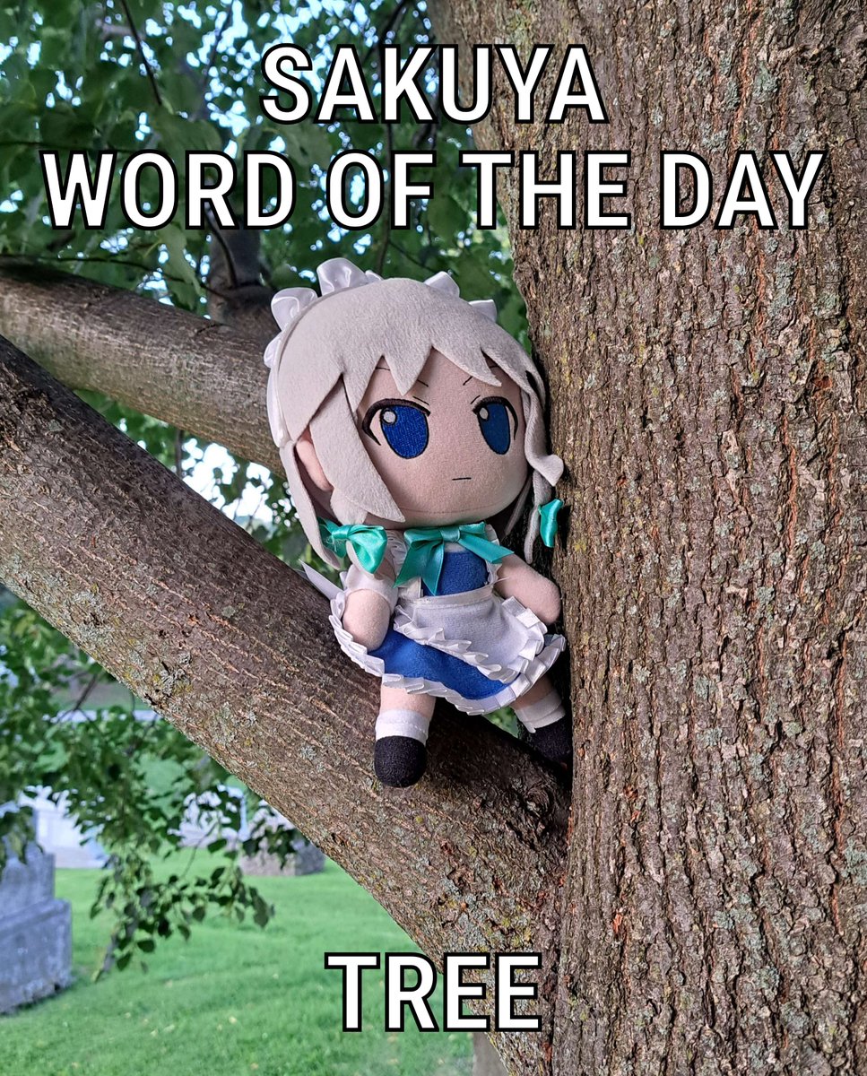 SakuyaWOTD's tweet image. 