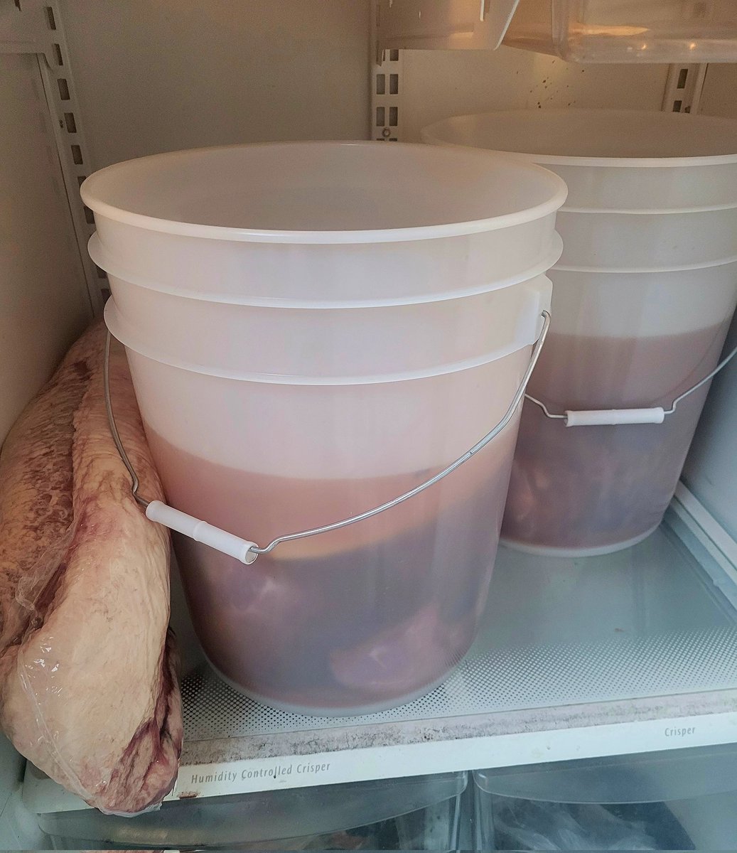 Now for a 10 hour bath in my glorious brine 👀👀🔥🔥🔥
Soak in all the flavors, my beauties! #BostonButt
#CoppertonCarnivore💨🍻🤘