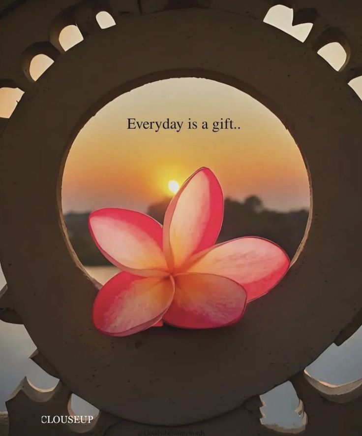 POSITIVITY (@positivitysaid) on Twitter photo 