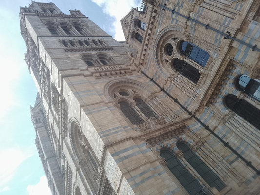 The Victory Academy tweet media