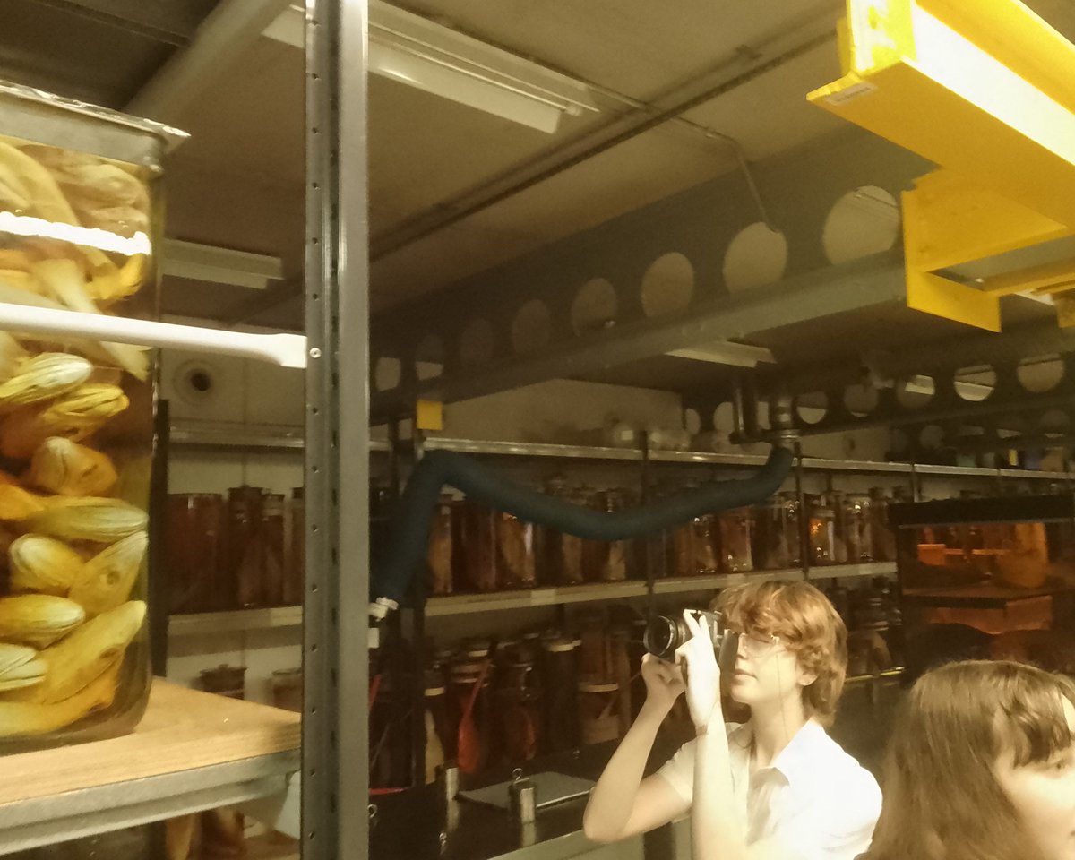 The Victory Academy tweet media