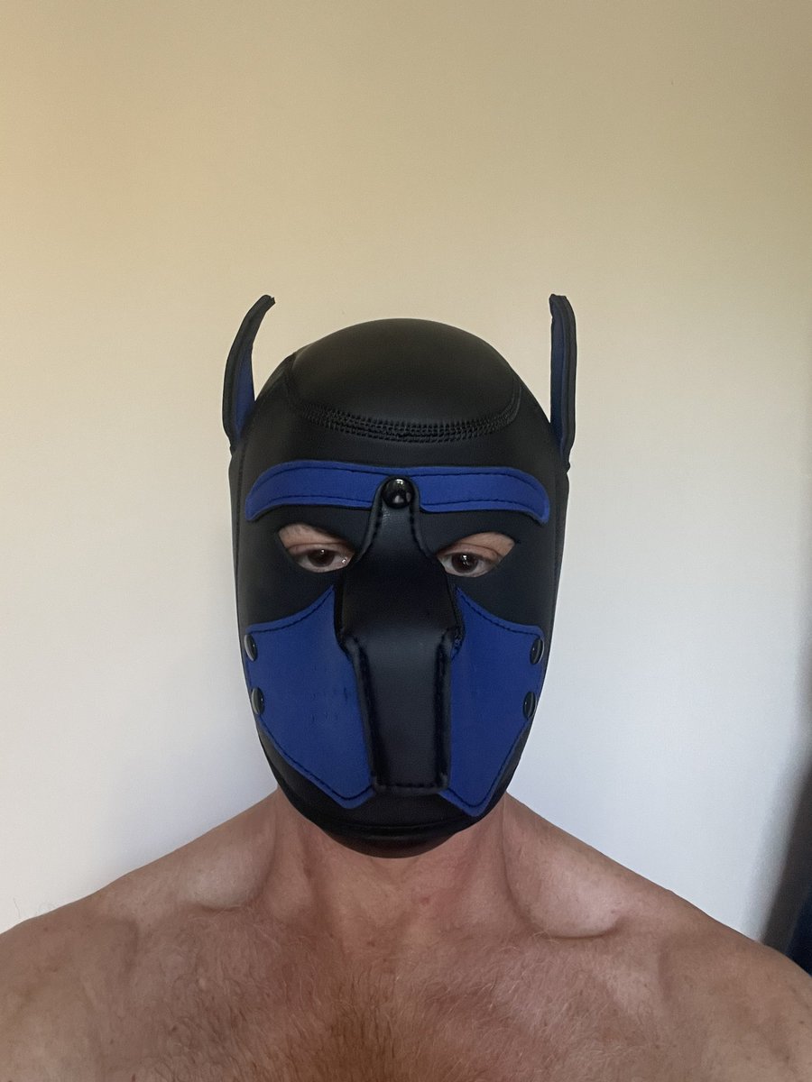New identity 
#puppymask
#exhibitionists