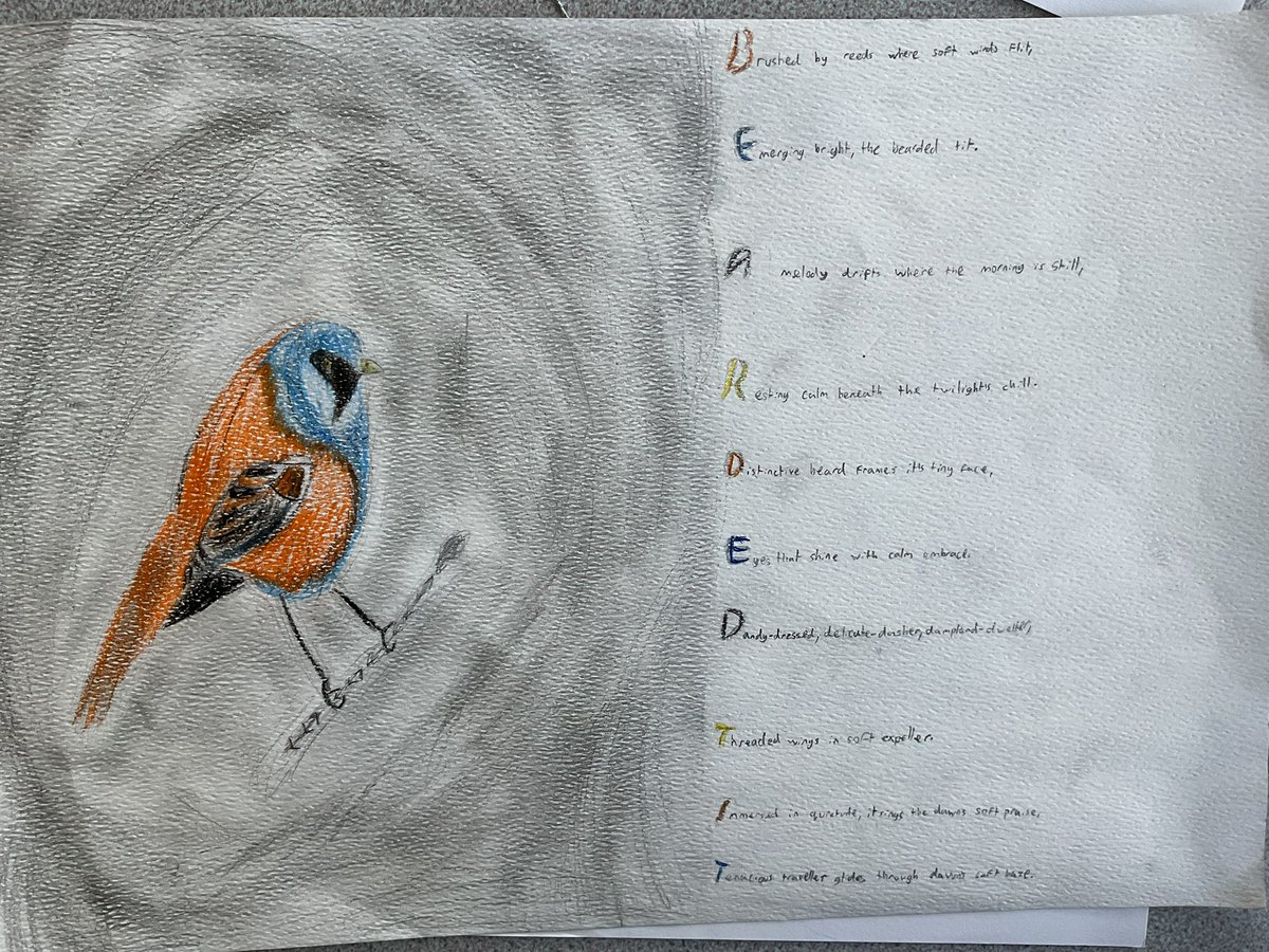 Baildon CE Primary School tweet media