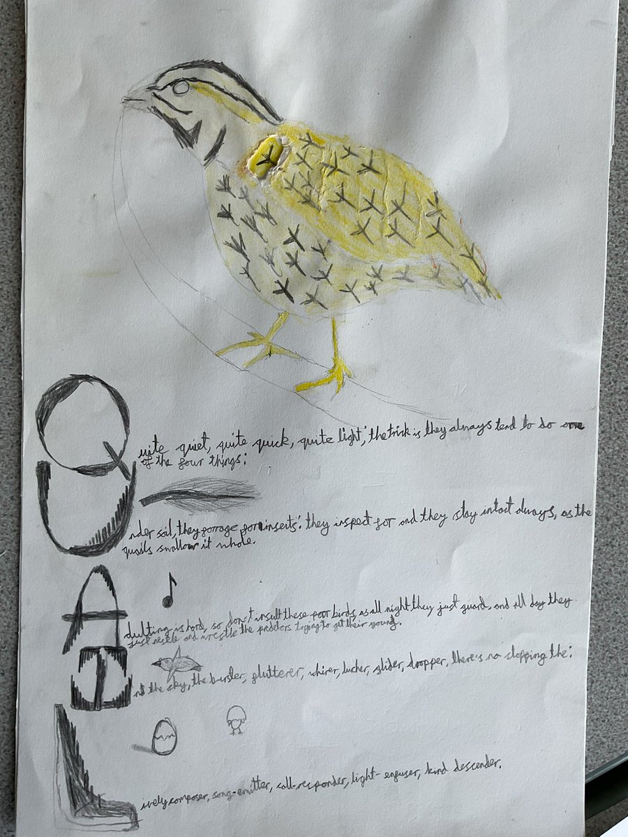 Baildon CE Primary School tweet media