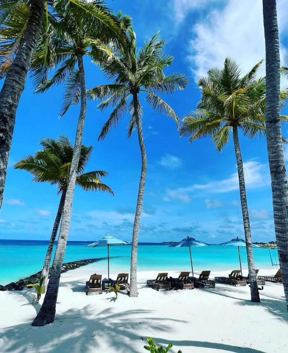 Maldives beaches are the best