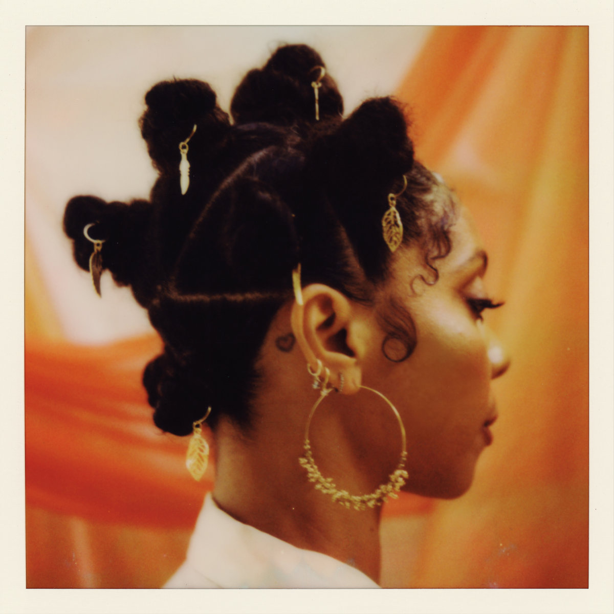 BrooklynVegan tweet media