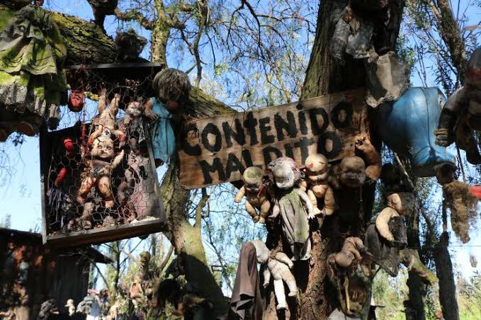 allurequinn's tweet image. 🚨lady gaga reportedly filmed a music video directed by tim burton at the haunted island of the dolls in xochimilco, mexico.