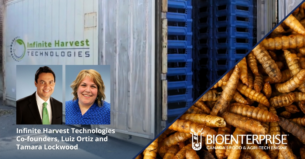 BioenterpriseCA's tweet image. ♻️ Infinite Harvest Technologies (IHT) is turning waste into opportunity, helping producers generate new revenue while supporting a cleaner, more circular economy. Read the GOAH success story now ➡️ ow.ly/3Nuc50WnEcy

#AgriTech #CircularEconomy #SustainableAg #Innovation