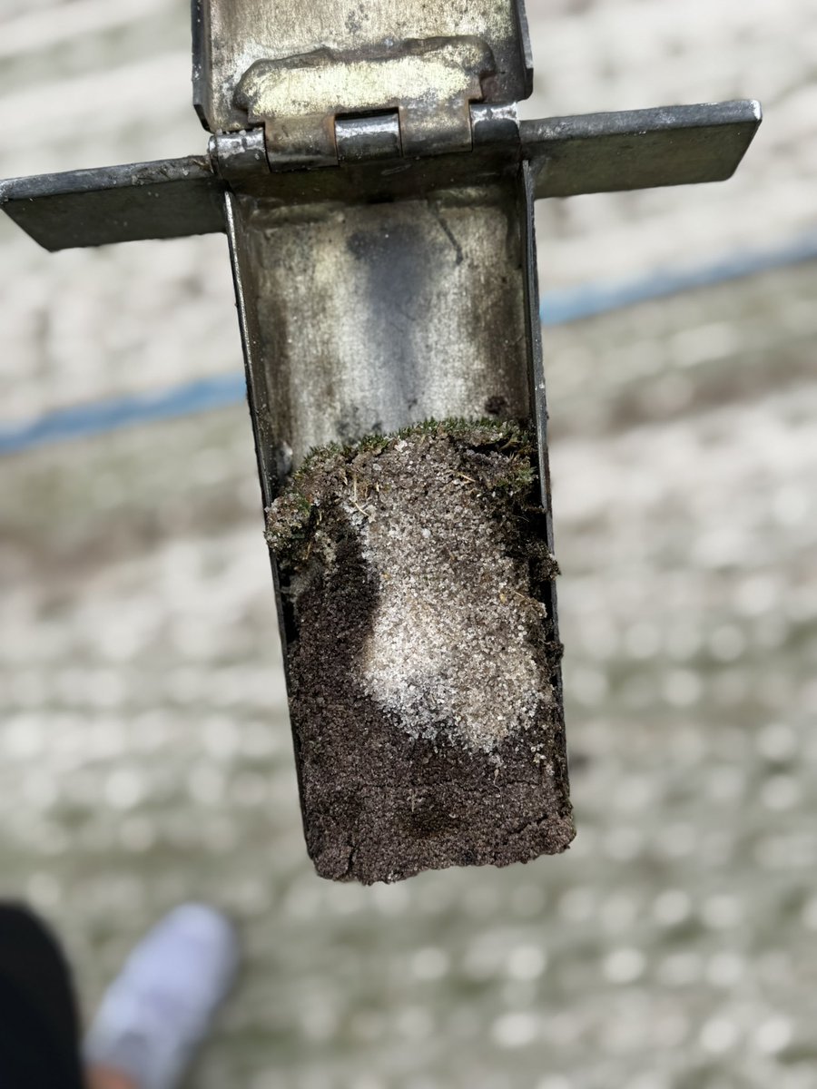 Today’s client wanted the widest 3” deep #DryJect shots we could deliver to his 4 yr old greens, so we are on a 6”x4” shallow version of Maximus today, injecting +600lbs/m