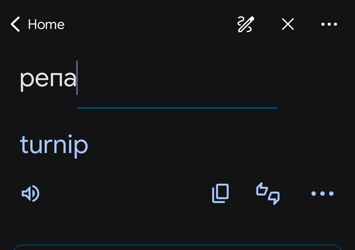 Иногда я открываю гугл-переводчик, чтобы вспомнить, о чём говорил с людьми вчера ночью