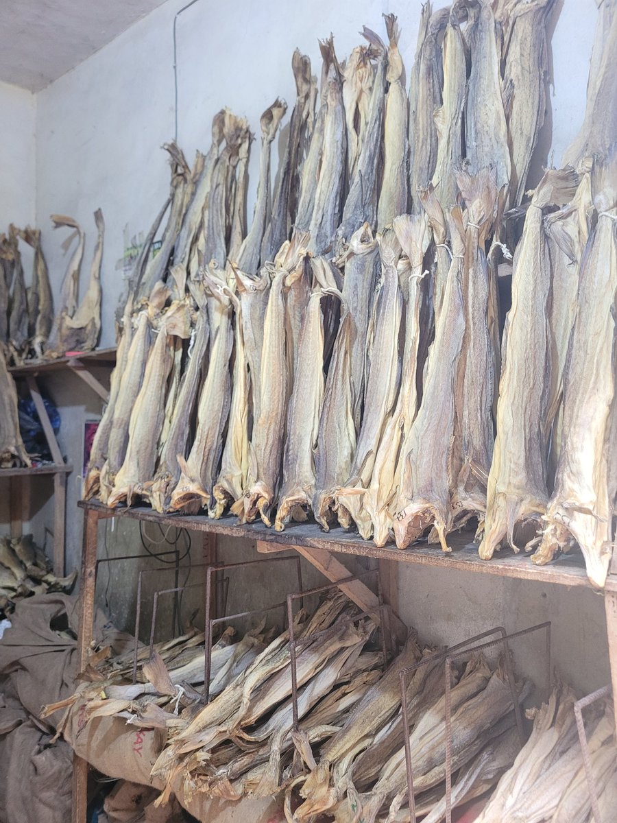 Ojukwu29's tweet image. Get top-quality COD at a great price in our store today. Fresh, clean, and packed with flavor.
Stock won’t last long! Visit our store today @OkporokoMarket for more information.