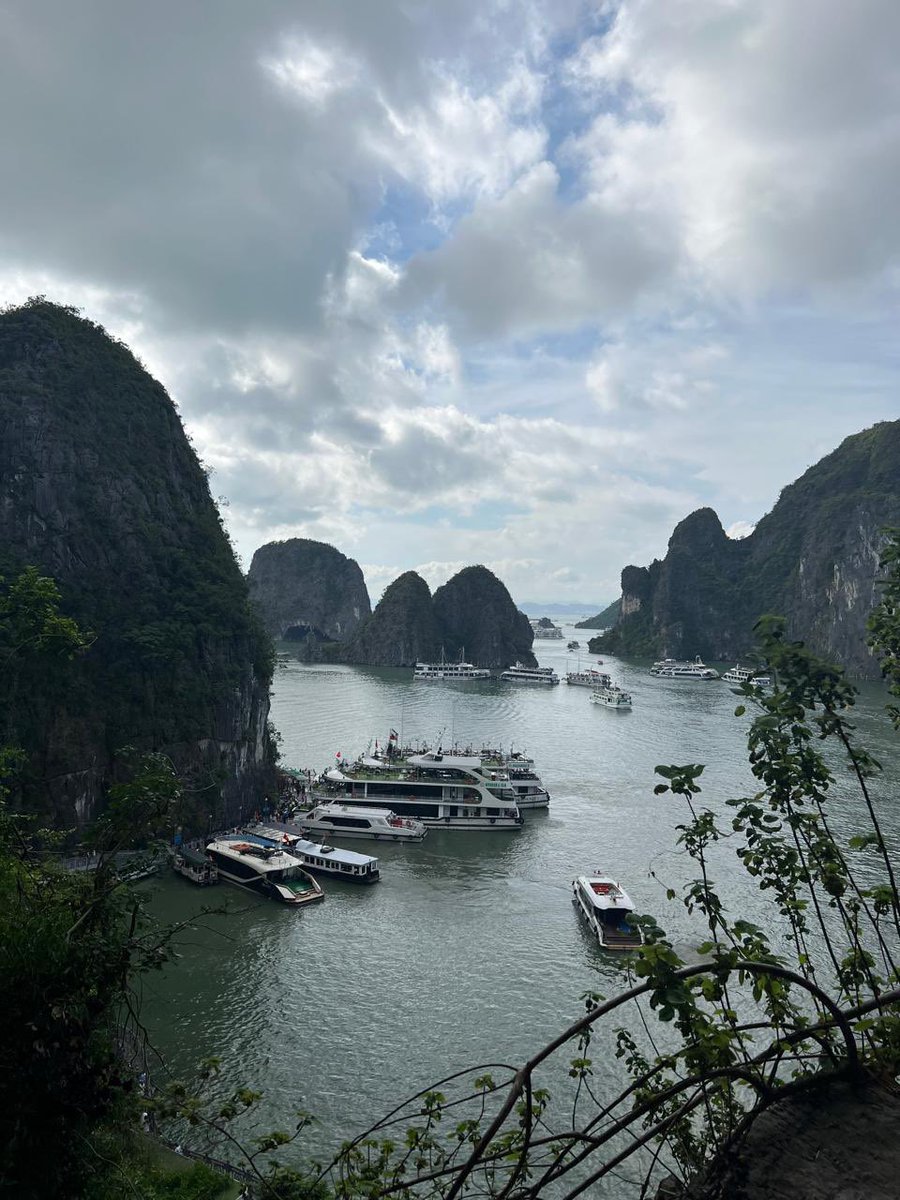 AleidaAzamarA's tweet image. 🌊✨ La Bahía de #HaLong es un lugar que parece un cuento donde las montañas emergen del agua en la niebla.
Navegar a bordo de un junco tradicional fue una gran experiencia en esas aguas esmeralda, islas calizas cubiertas de vegetación y un cielo que cambia de color cada hora.