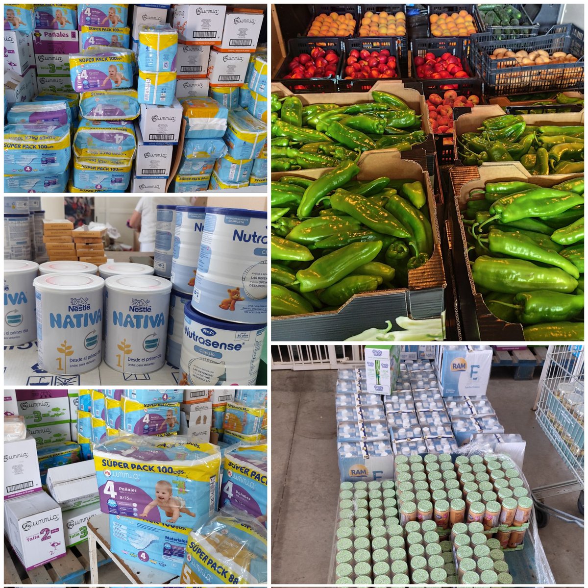 Memoria semestral 👣👣