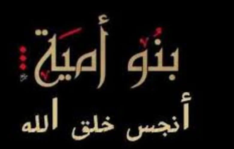 ٣