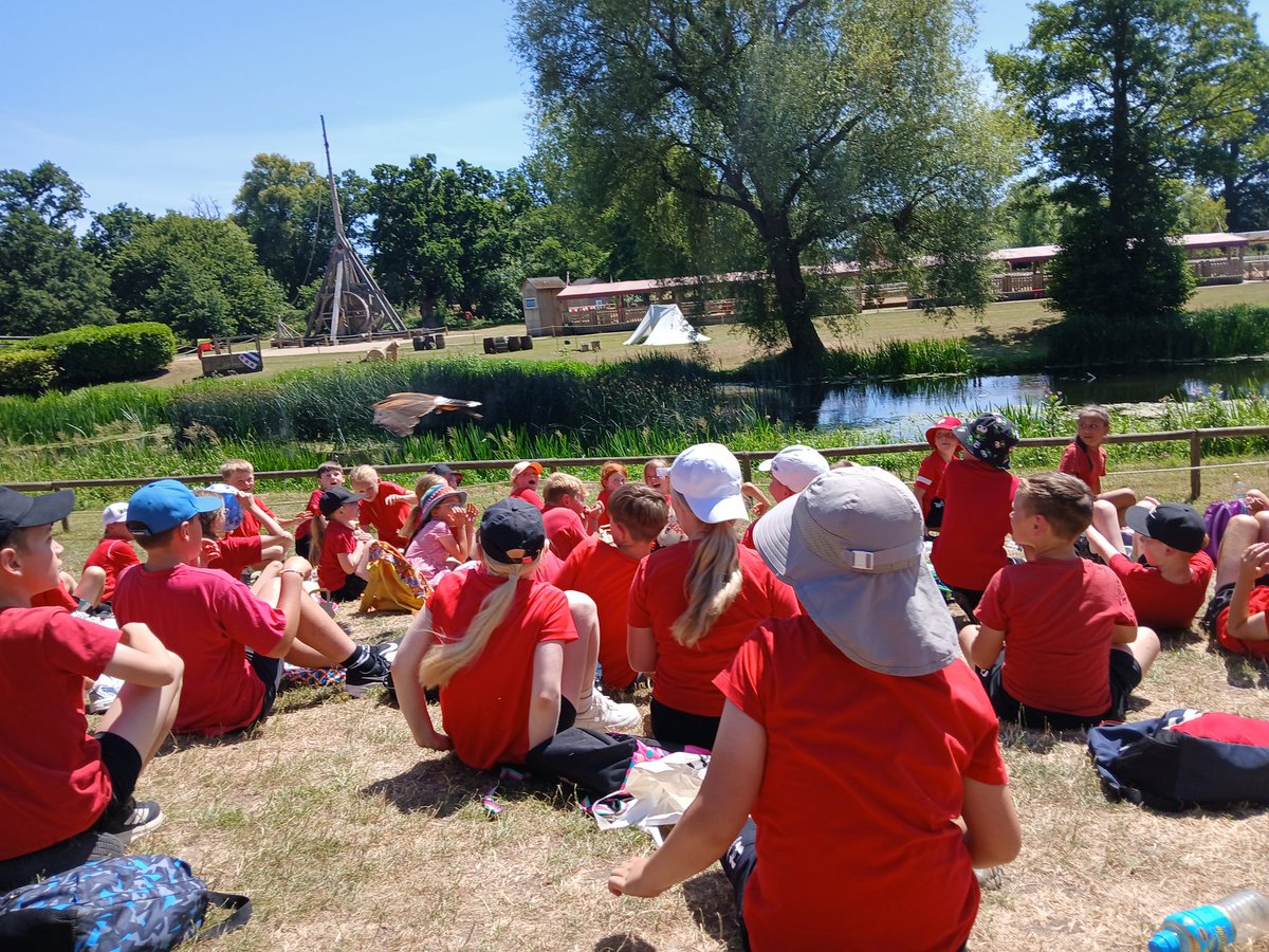 Beech Class enjoying seeing some magnificent birds up close <a href="/MrScottHead/">Mr Scott</a> <a href="/CottinghamCofE/">Cottingham CofE</a>