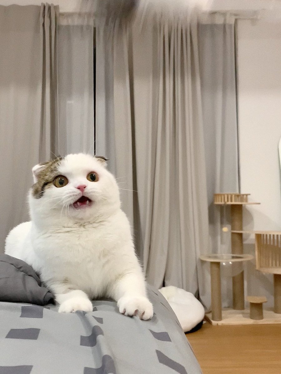 <a href="/jluvfs_/">น้องเฮร๊าะห์ชอบหิน!</a> ไปหารูปที้อ้าปากเหมือนกันนมา55555