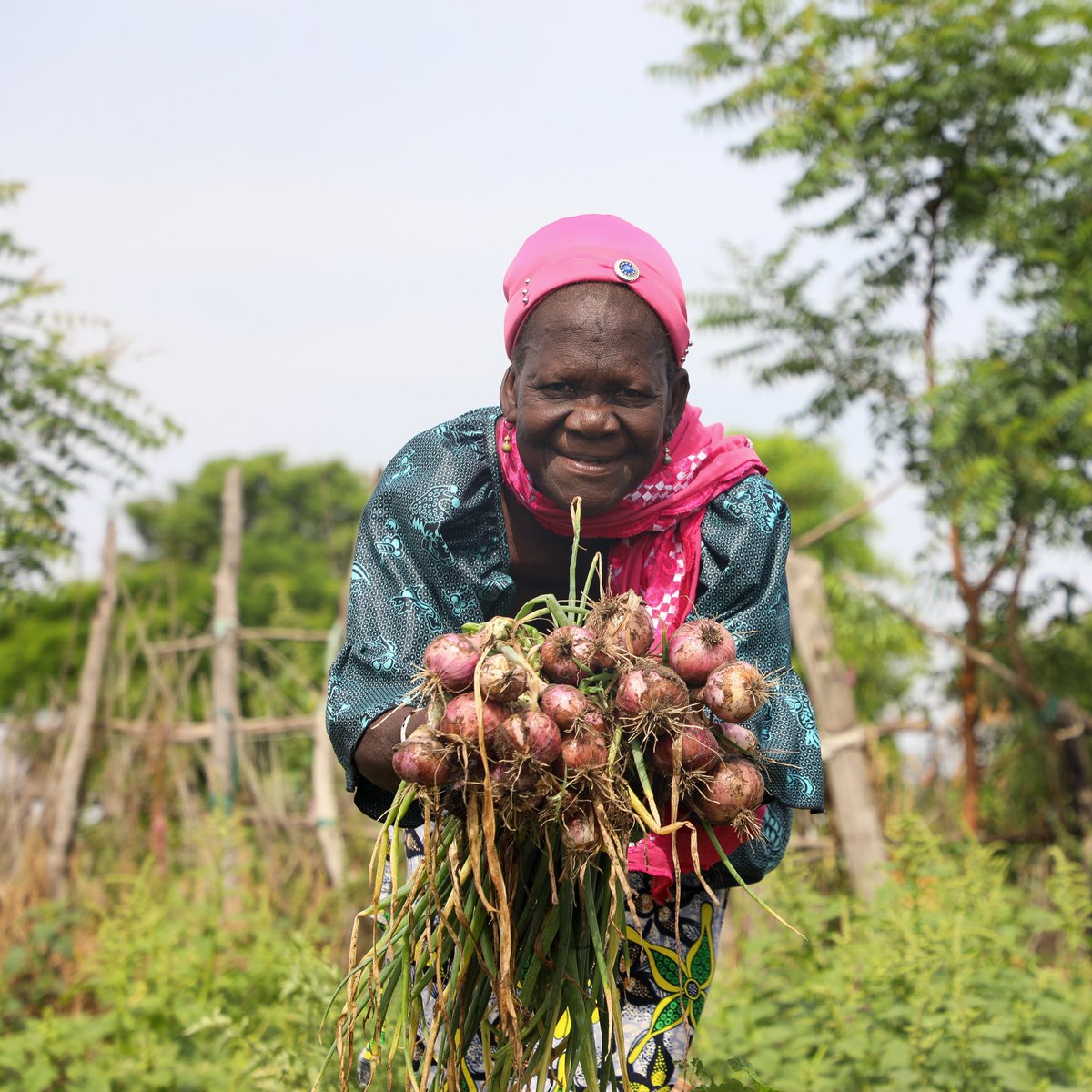 WFP_Cotedivoire's tweet image. Dans le Nord 🇨🇮, 9⃣0⃣ % de la main-d’œuvre #agricole est féminine, mais les femmes restent vulnérables face aux aléas et contraintes socioéconomiques. Le PAM les soutient via formations, accès aux ressources agricoles et bonnes pratiques pour améliorer leurs récoltes et revenus.